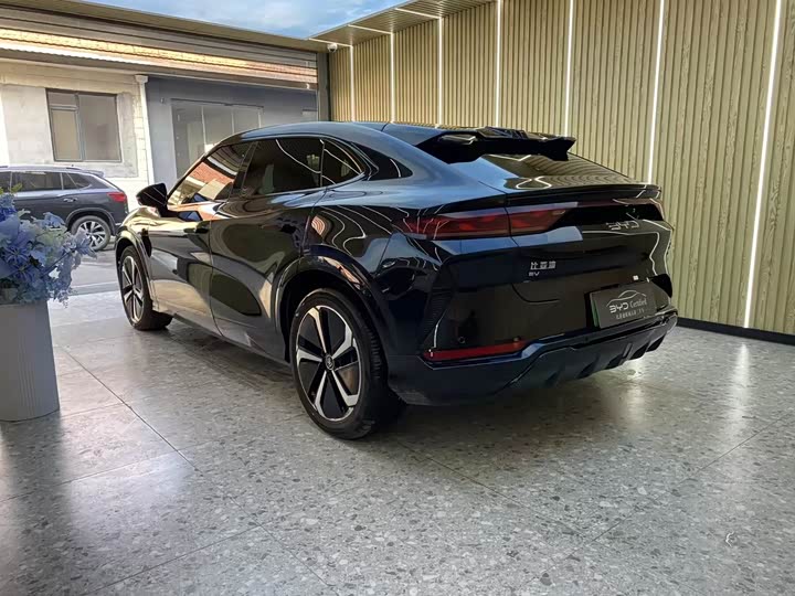 Фото 8 - BYD Song L