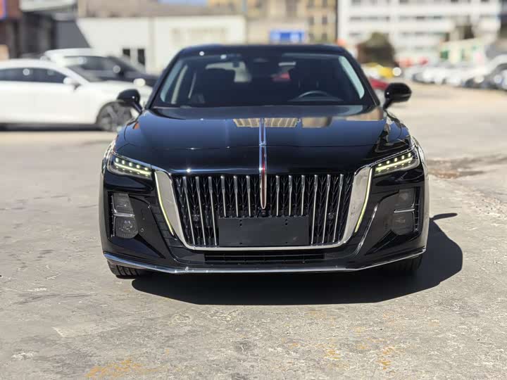 Фото 2 - Hongqi H5