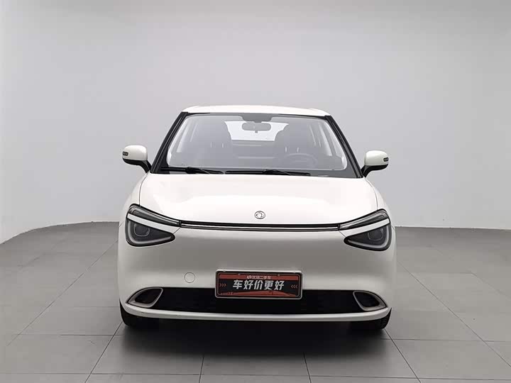 Фото 3 - Dongfeng Nammi 01