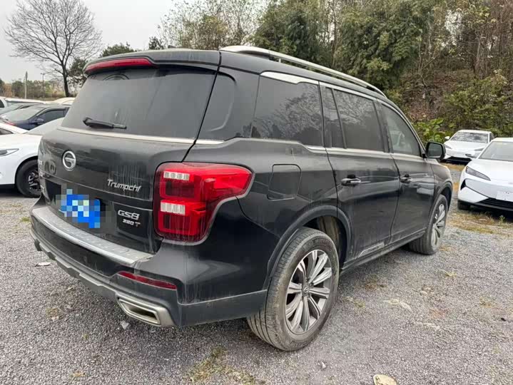 Фото 4 - GAC Trumpchi GS8