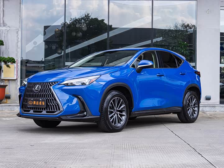 Фото 1 - Lexus NX