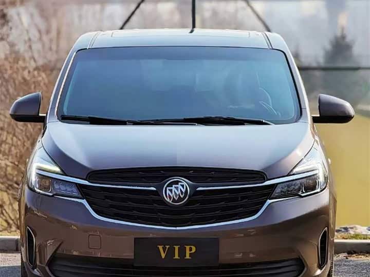 Фото 1 - Buick GL8 ES