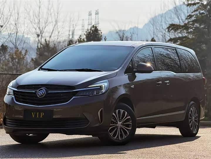 Фото 2 - Buick GL8 ES