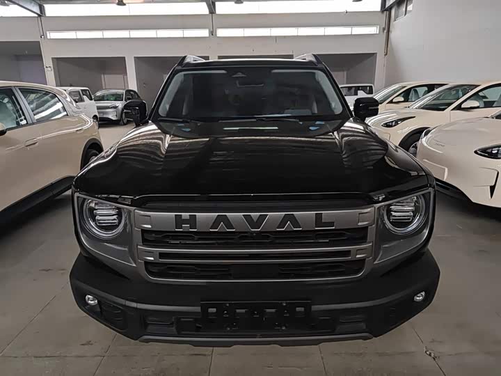 Фото 3 - Haval Dargo