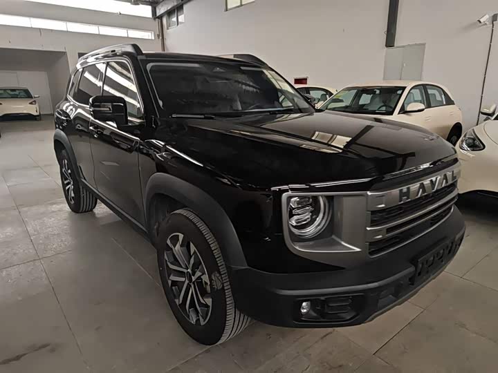 Фото 4 - Haval Dargo