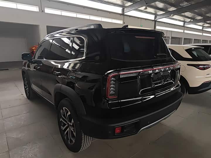 Фото 5 - Haval Dargo