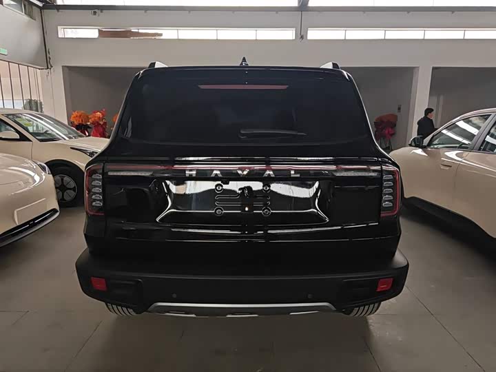 Фото 6 - Haval Dargo