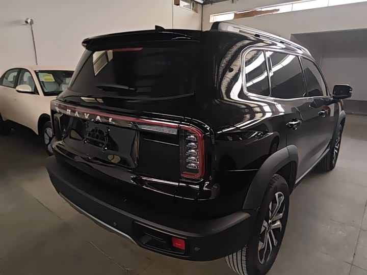 Фото 7 - Haval Dargo