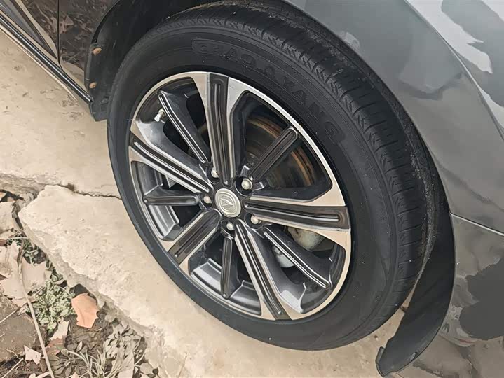 Фото 6 - Changan Raeton CC