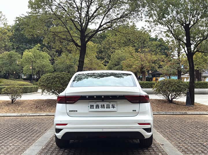 Фото 8 - Geely Emgrand