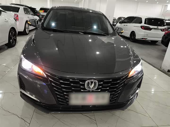 Фото 3 - Changan Raeton CC