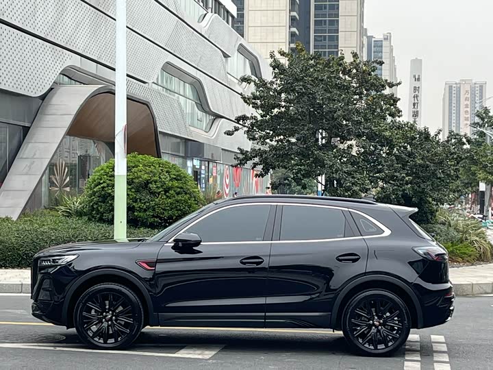 Фото 9 - Hongqi HS5