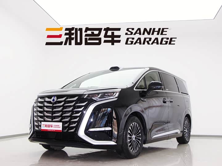 Фото 1 - Denza D9