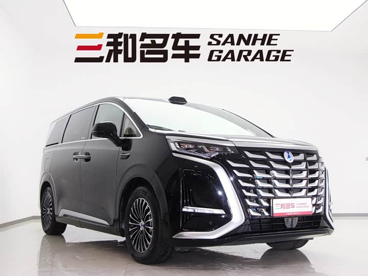 Фото 2 - Denza D9