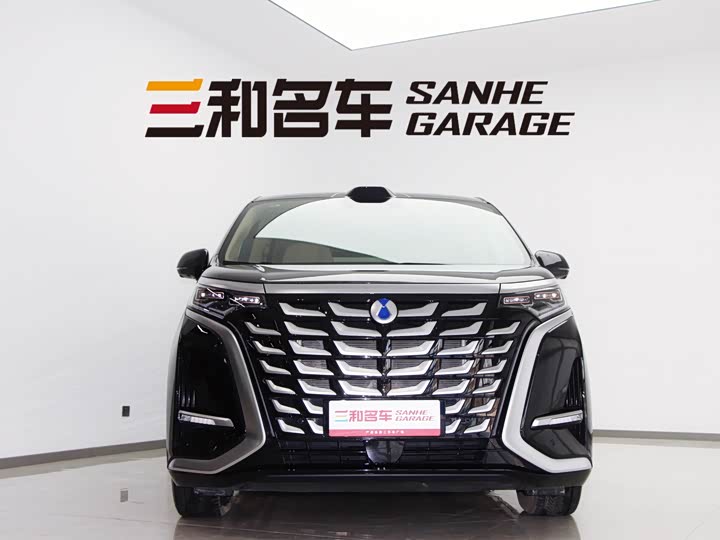 Фото 3 - Denza D9