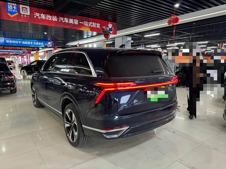 Фото 8 - Wey Lanshan