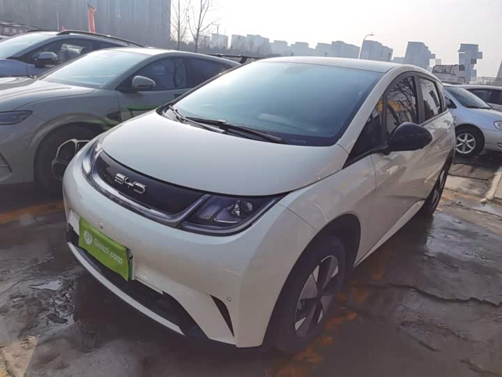 Фото 1 - BYD Dolphin