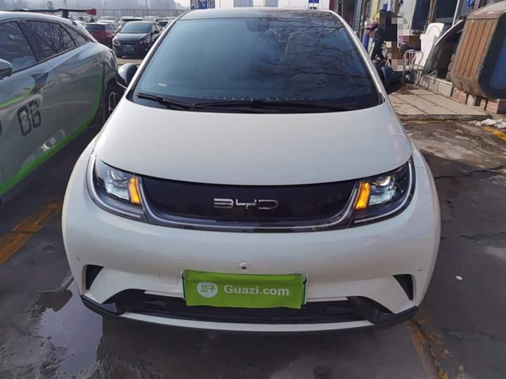 Фото 3 - BYD Dolphin