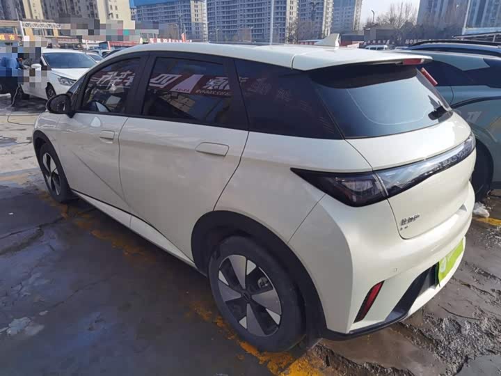 Фото 5 - BYD Dolphin