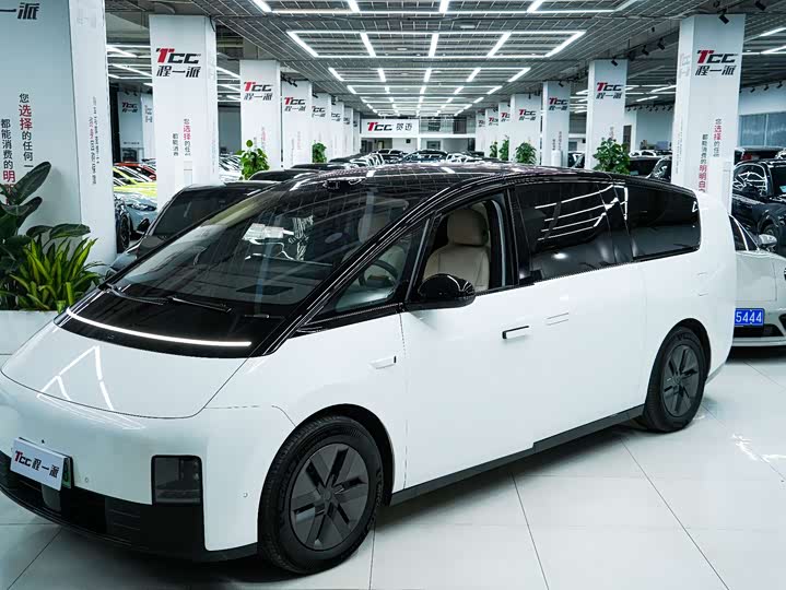 Фото 3 - LiXiang Mega