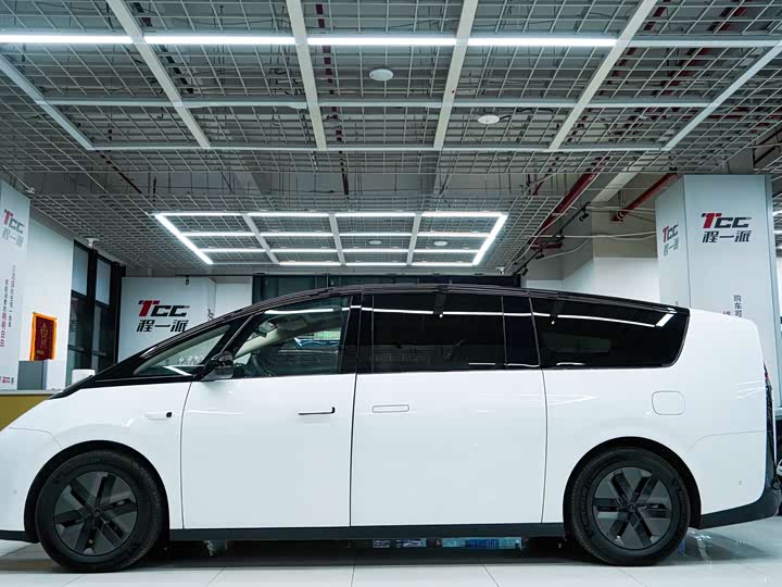 Фото 5 - LiXiang Mega