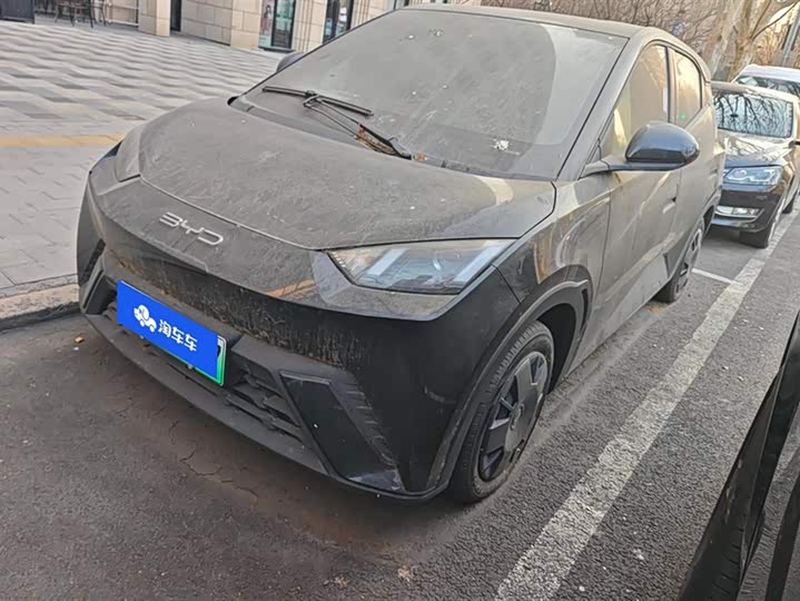 Фото 1 - BYD Seagull