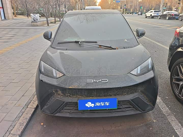 Фото 2 - BYD Seagull