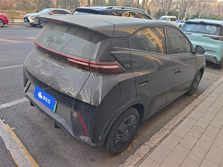 Фото 3 - BYD Seagull