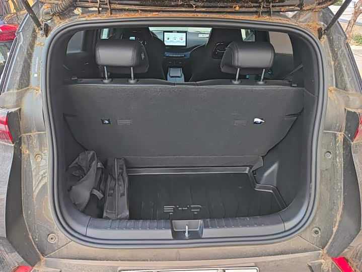 Фото 4 - BYD Seagull