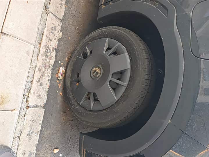 Фото 6 - BYD Seagull