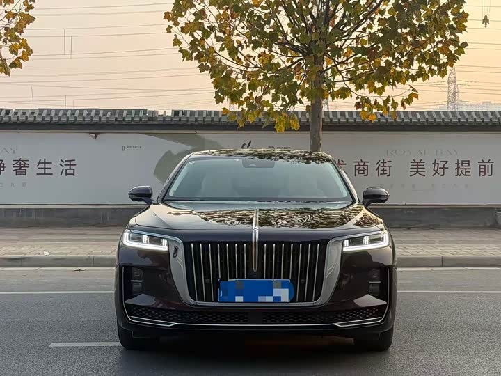 Фото 2 - Hongqi H9