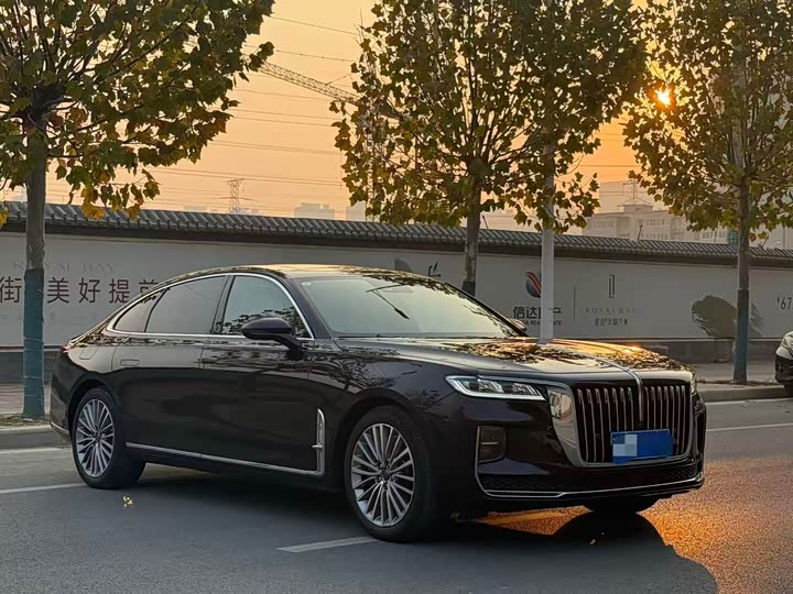 Фото 3 - Hongqi H9