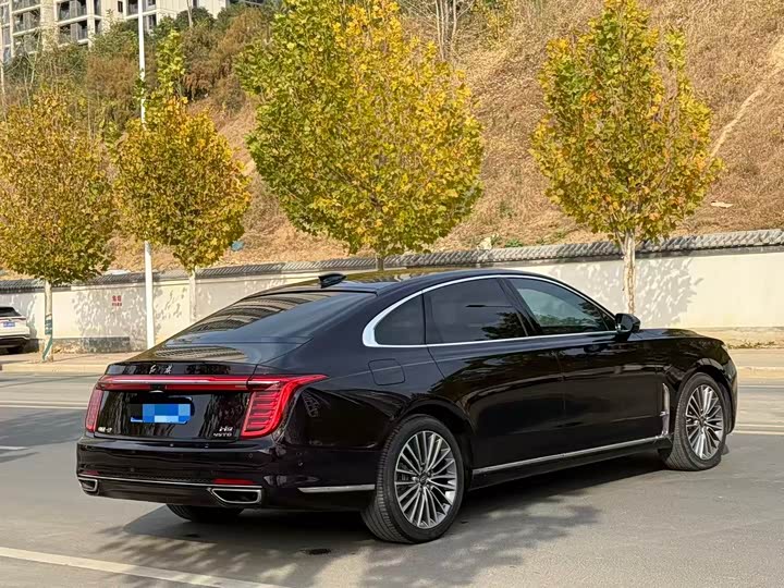 Фото 7 - Hongqi H9