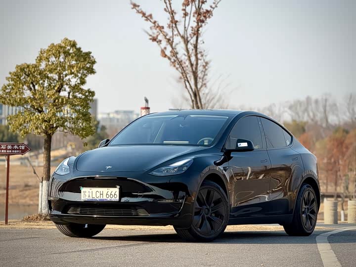 Фото 1 - Tesla Model Y