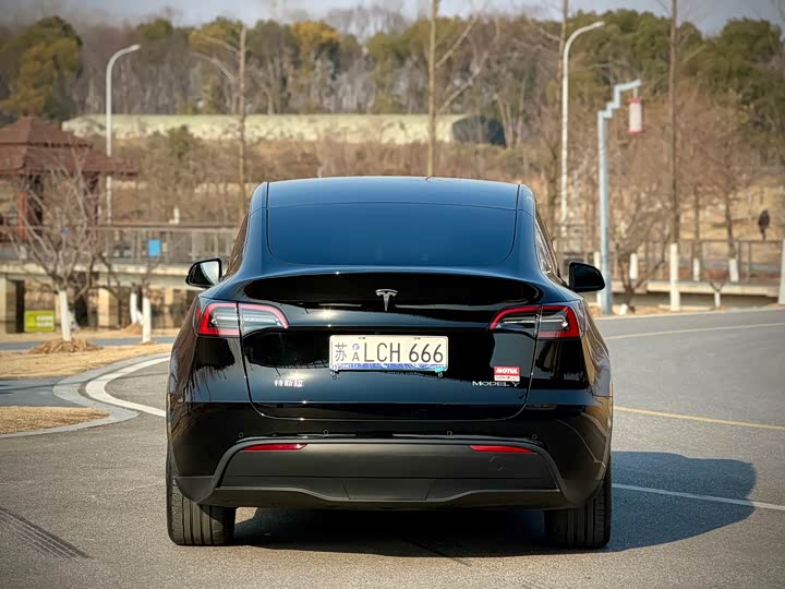 Фото 5 - Tesla Model Y