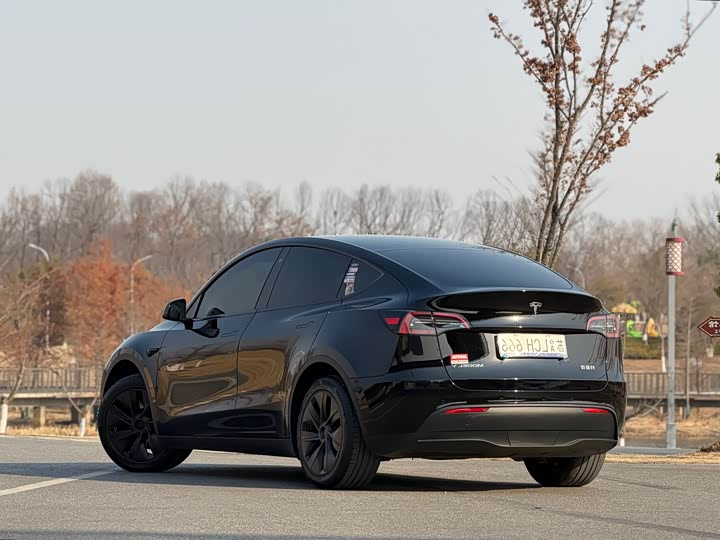 Фото 6 - Tesla Model Y