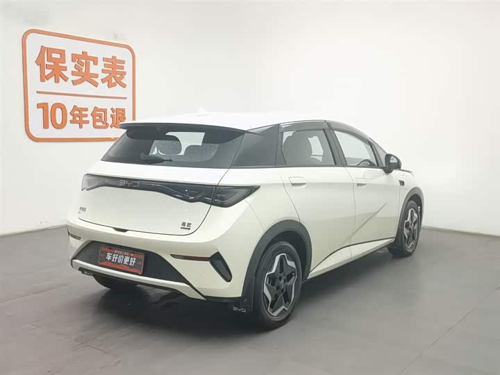 Фото 2 - BYD Dolphin