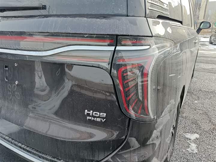 Фото 8 - Hongqi HQ9 Hybrid