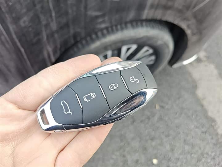 Фото 9 - Hongqi HQ9 Hybrid