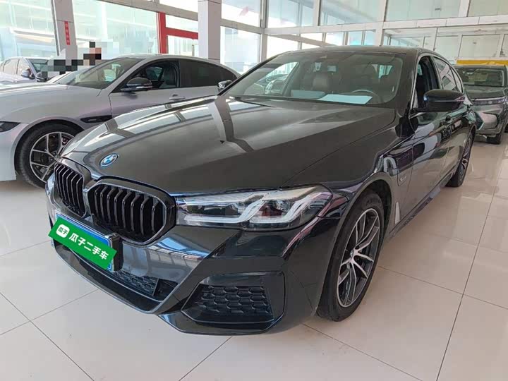 Фото 2 - BMW 5 Series Hybrid