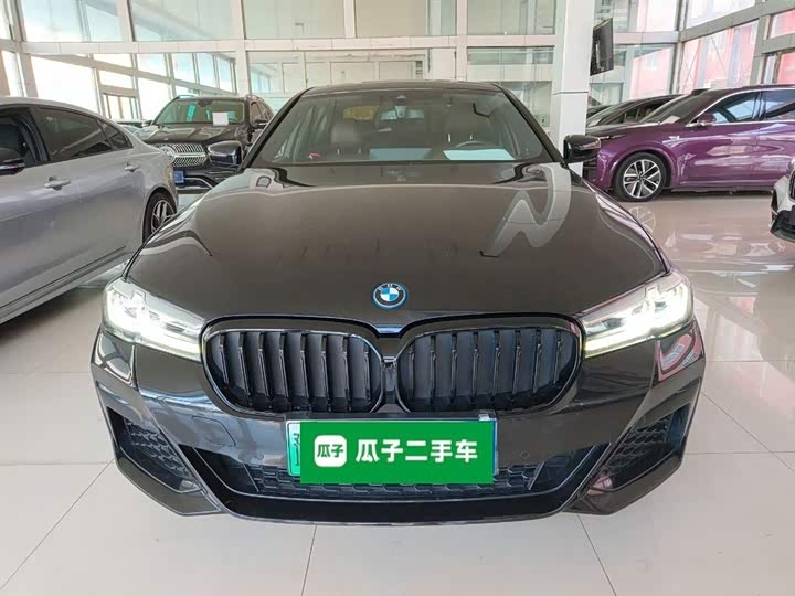 Фото 3 - BMW 5 Series Hybrid