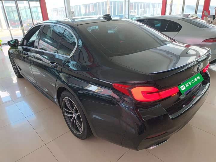 Фото 5 - BMW 5 Series Hybrid