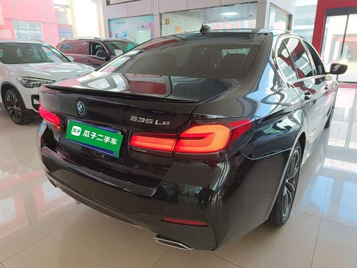 Фото 7 - BMW 5 Series Hybrid