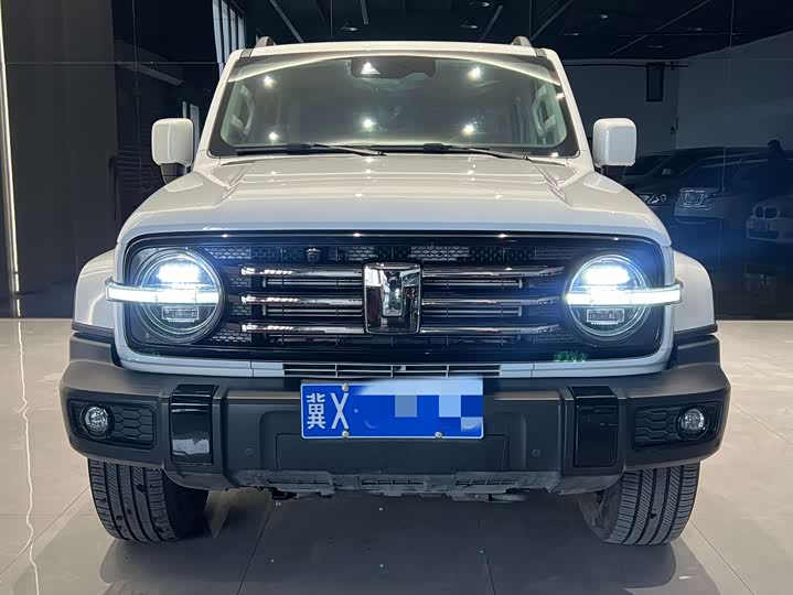 Фото 2 - Tank 300