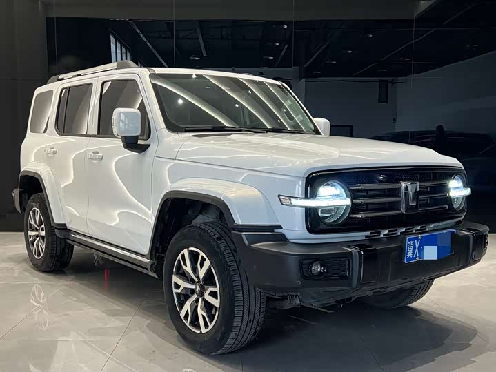 Фото 3 - Tank 300