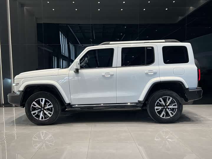 Фото 4 - Tank 300