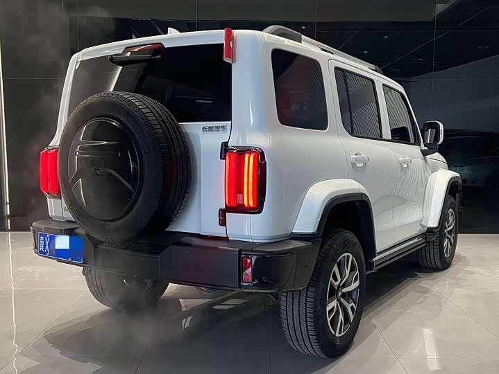 Фото 5 - Tank 300