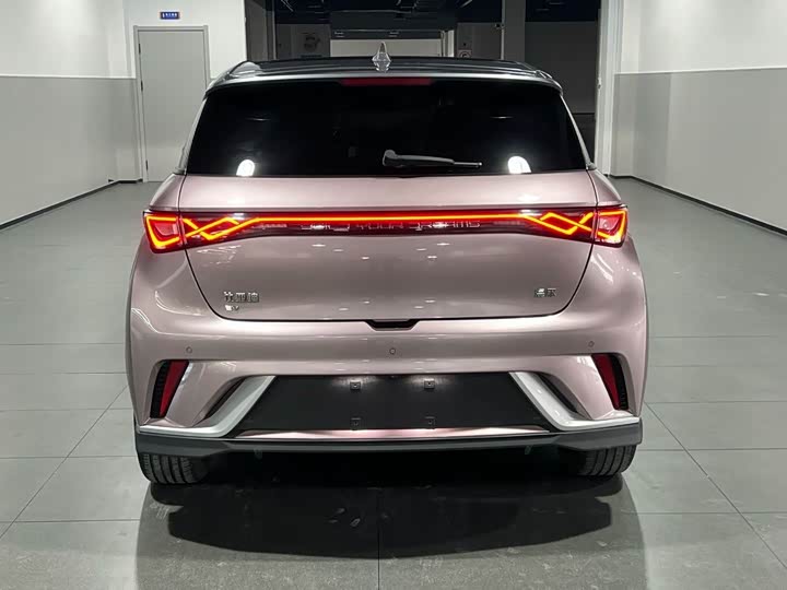 Фото 2 - BYD Dolphin