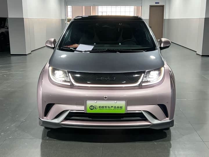 Фото 3 - BYD Dolphin