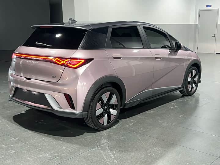 Фото 4 - BYD Dolphin